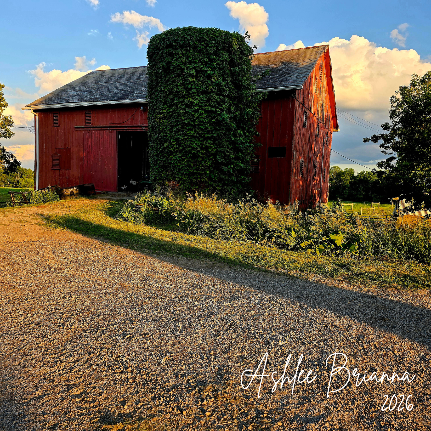 The Barn