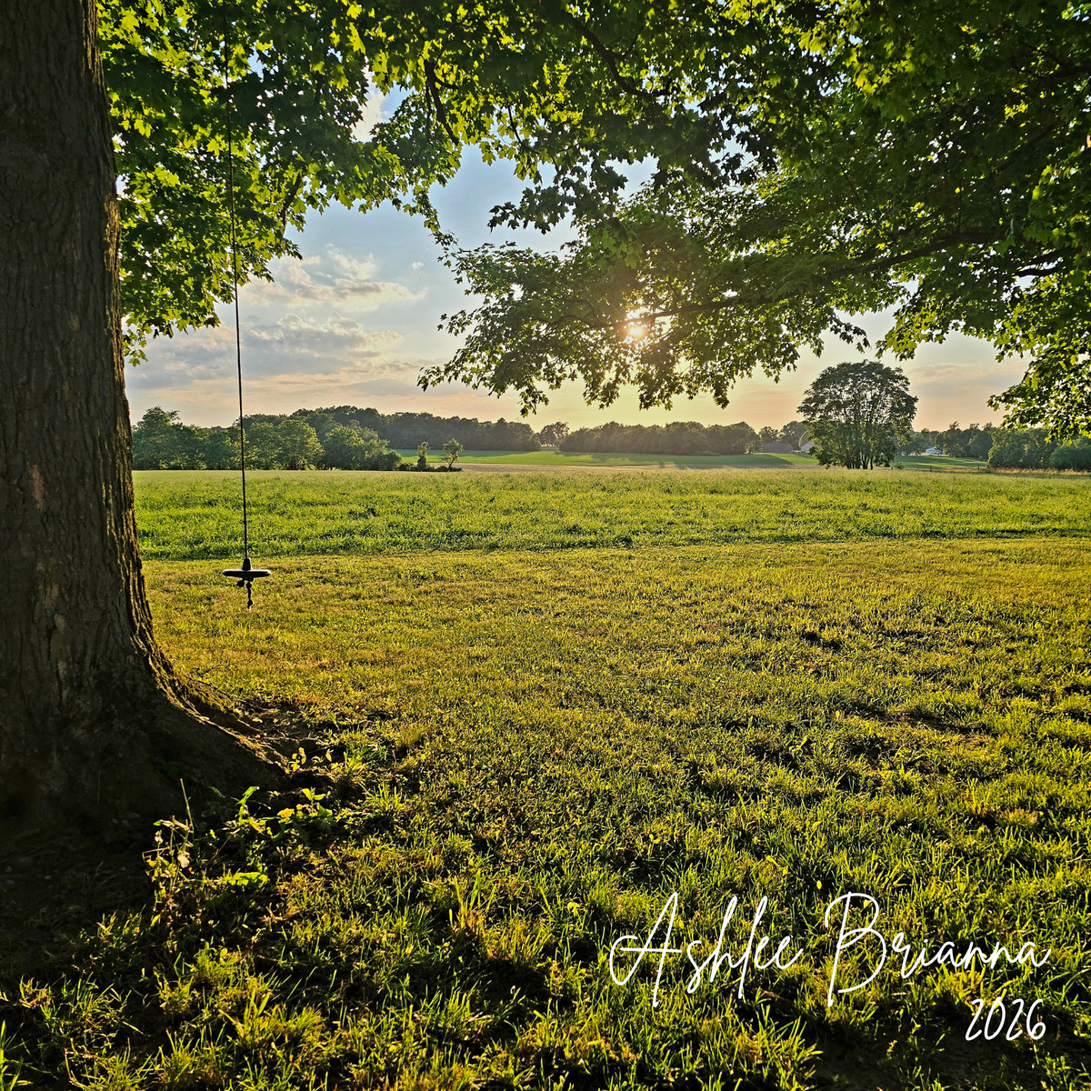 Tree Swing