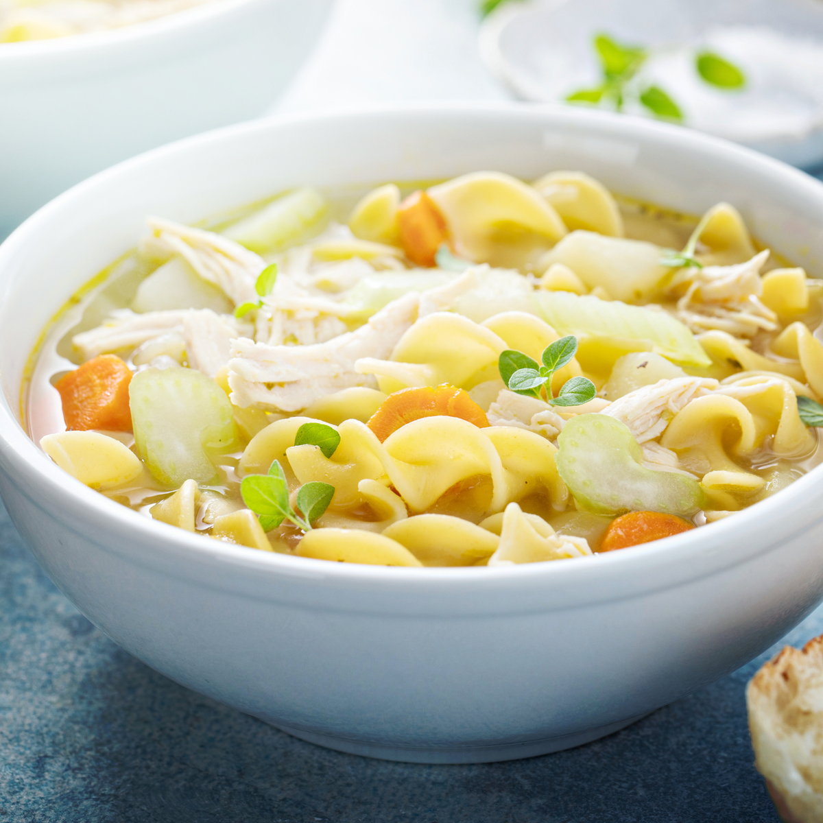 CHICKEN NOODLE SOUP