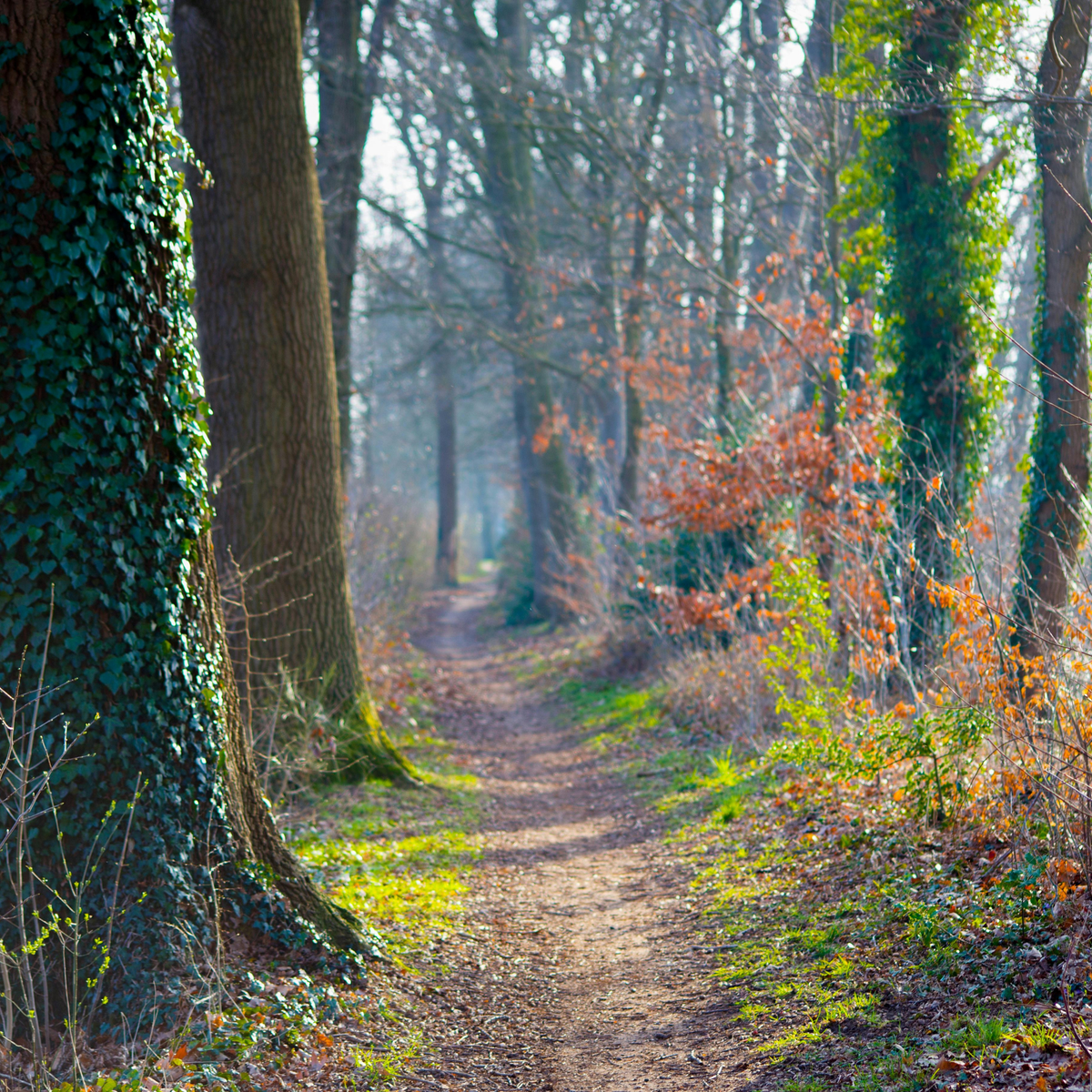 When Autumn Arrives Early
