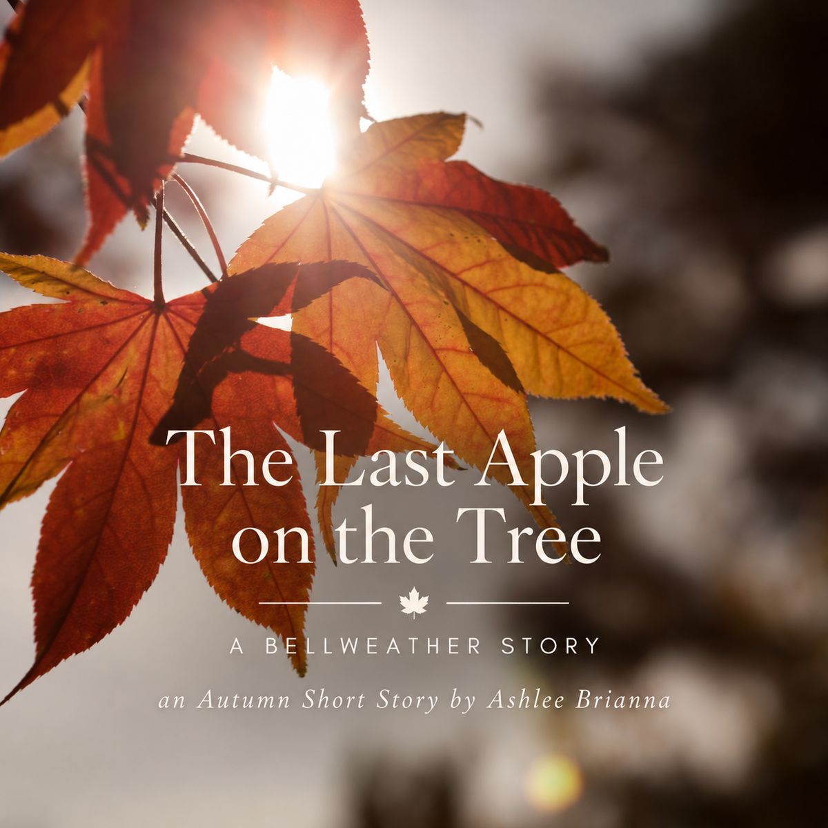 The Last Apple on The Tree