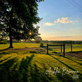 FARM FIELD