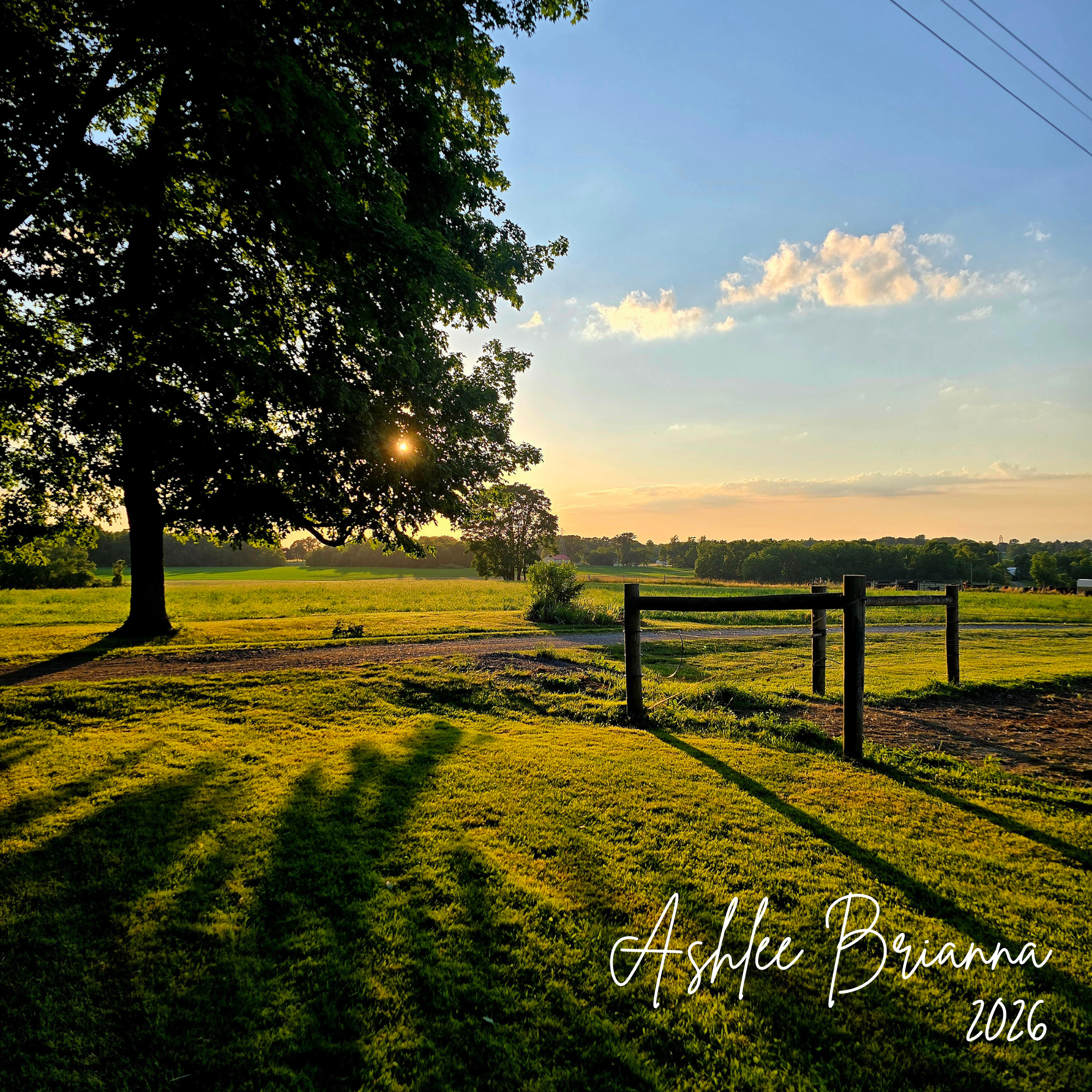 FARM FIELD