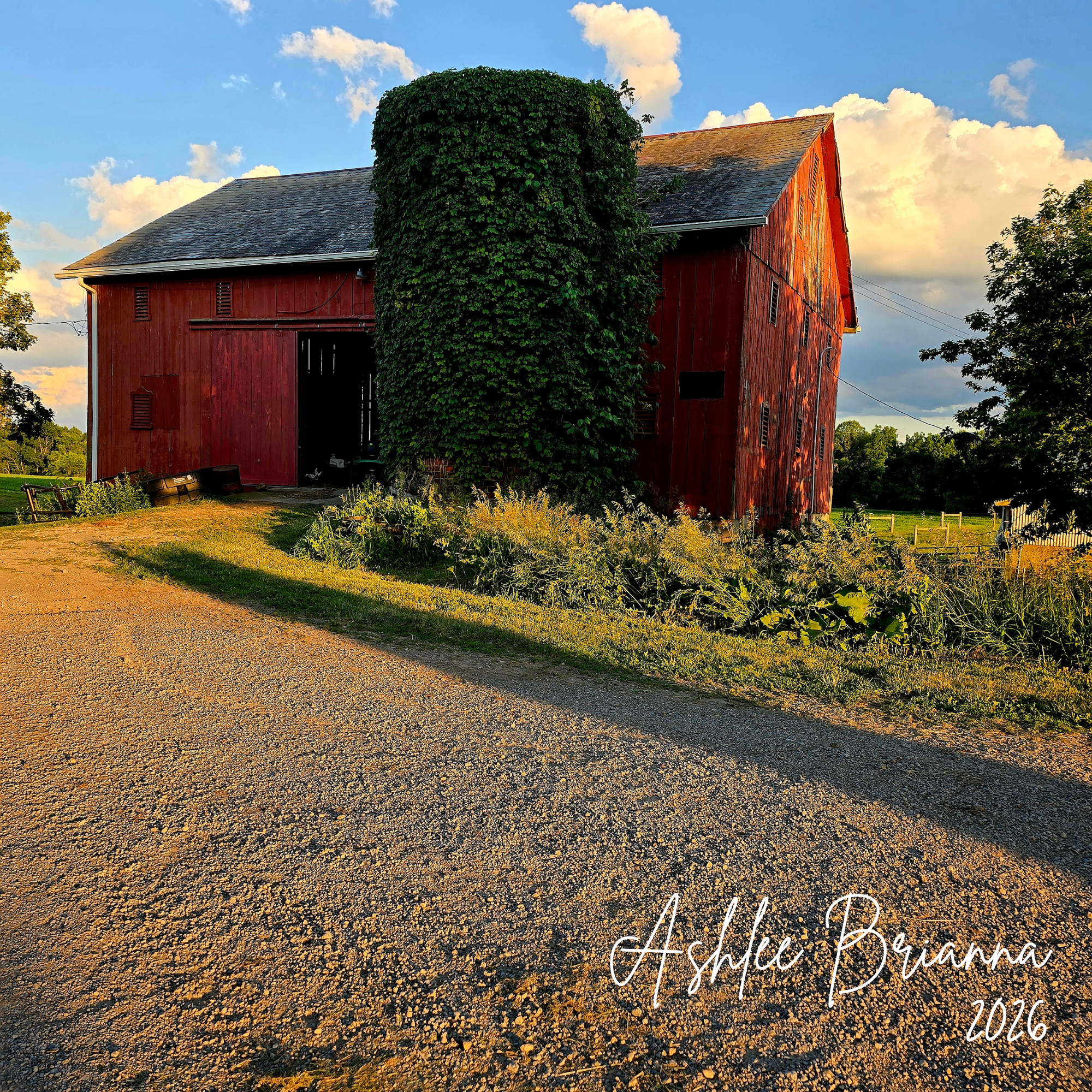 THE BARN
